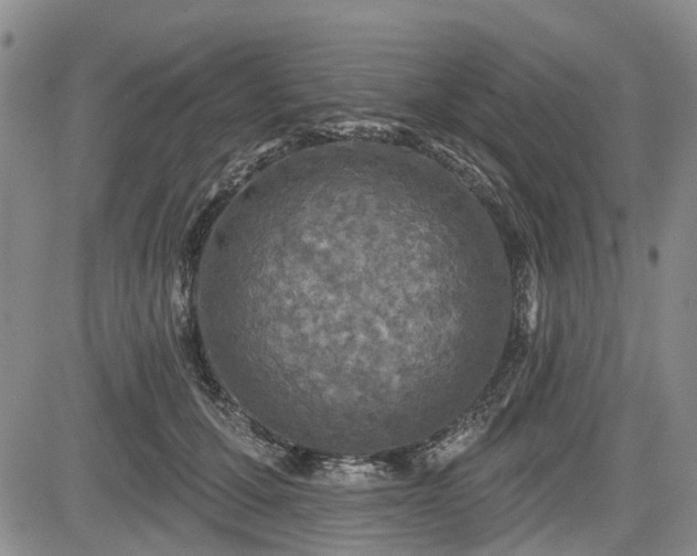 X0000084560607200703021425