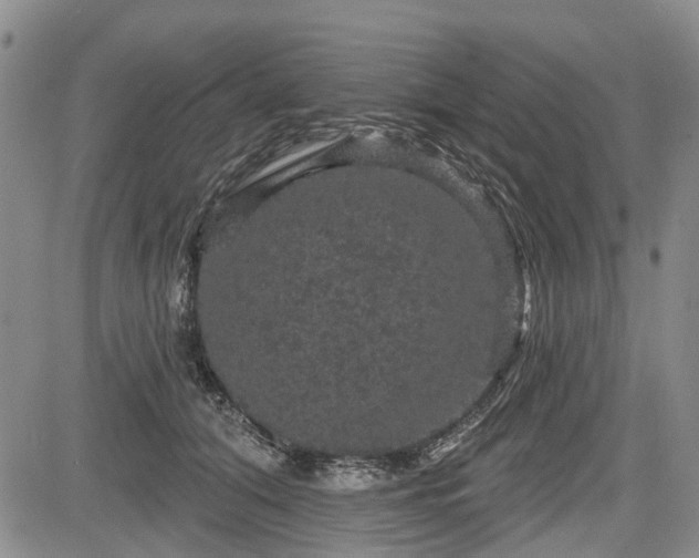 X0000084560608200703021425