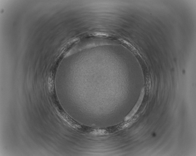 X0000084560609200703021425