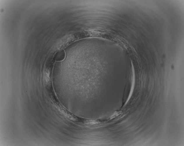 X0000084560610200703021425