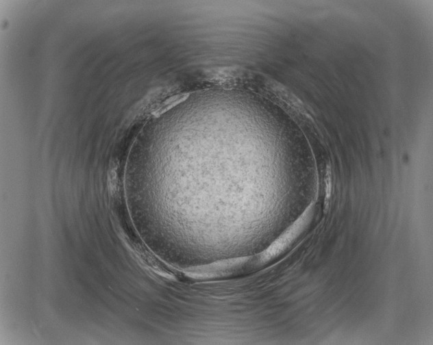 X0000084560611200703021425