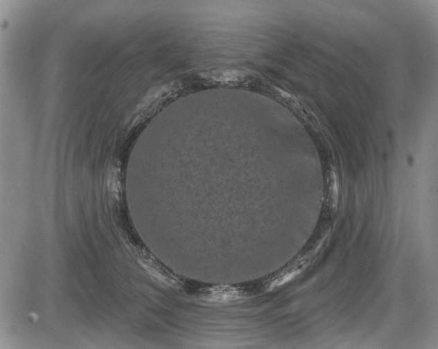 X0000084560612200703021425