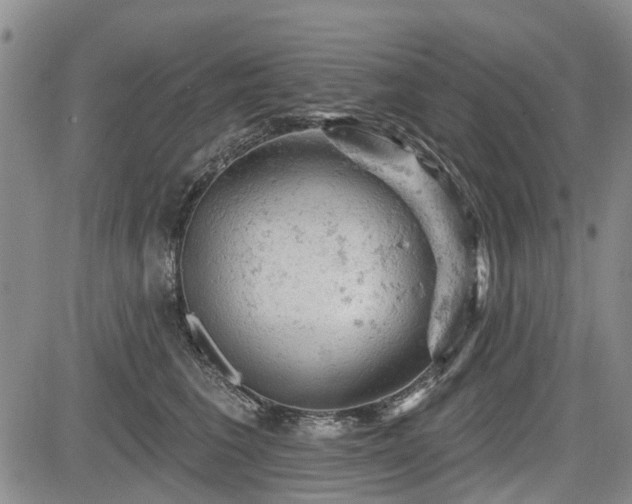 X0000084560613200703021425