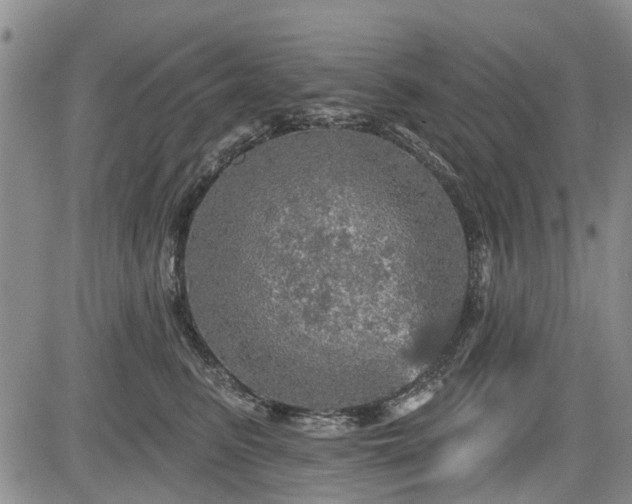 X0000084560615200703021425