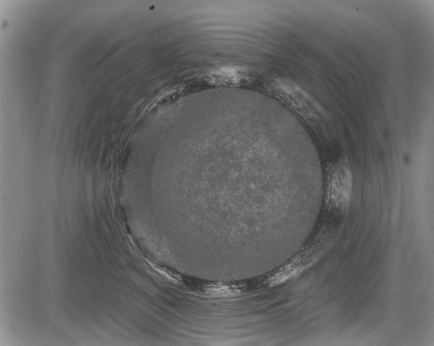 X0000084560616200703021425