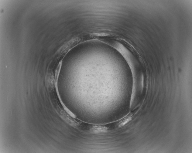 X0000084560617200703021425