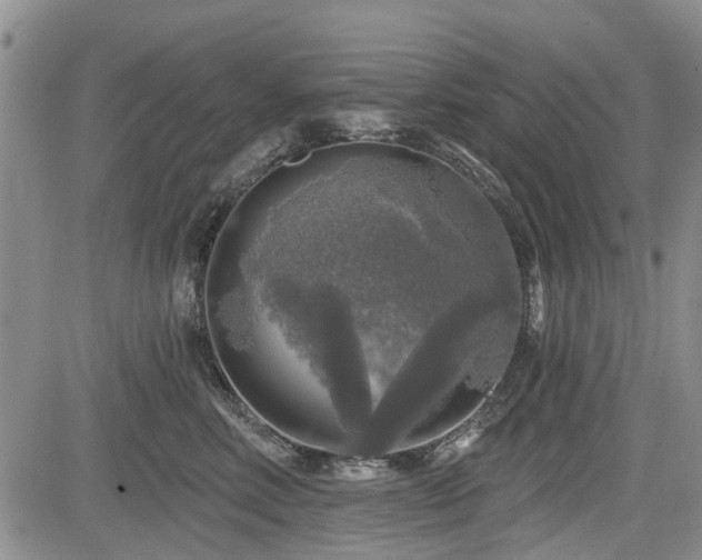 X0000084560618200703021425