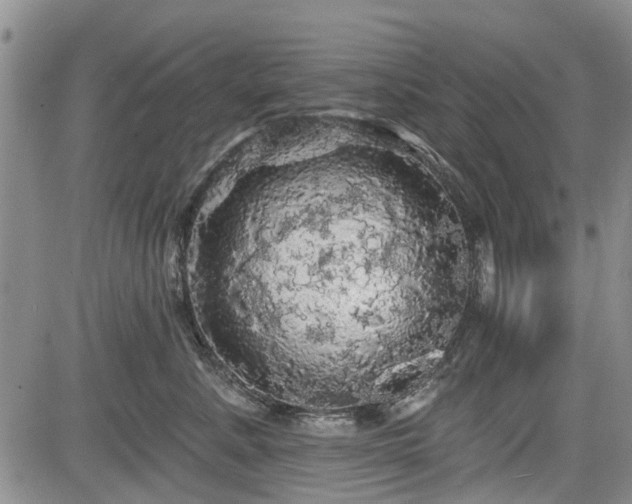 X0000084560619200703021425