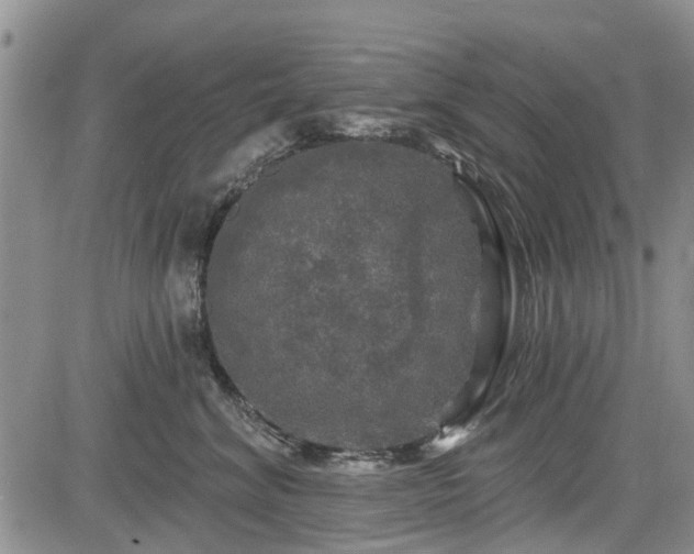 X0000084560620200703021425