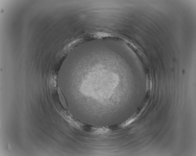 X0000084560621200703021425