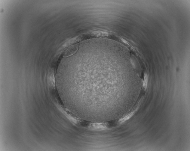 X0000084560622200703021425