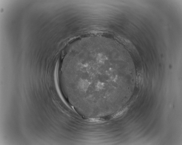 X0000084560623200703021425