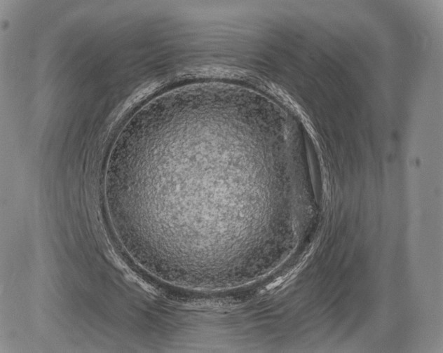 X0000084560625200703021424