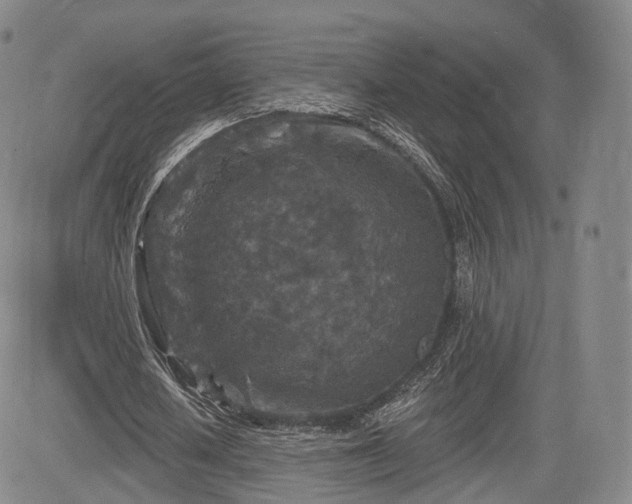 X0000084560626200703021424