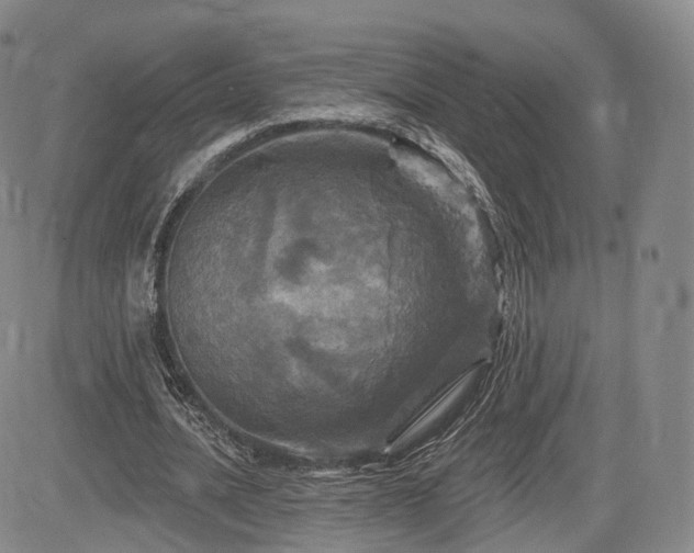 X0000084560628200703021424