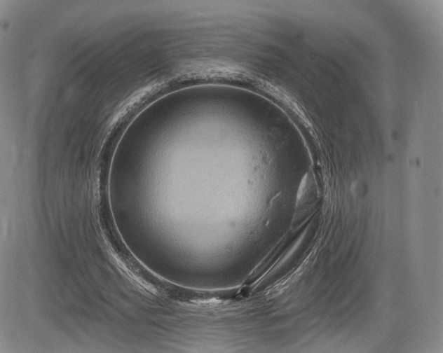 X0000084560629200703021424