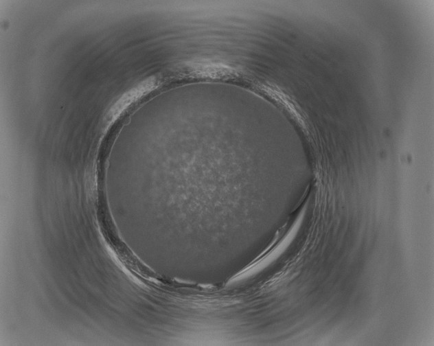 X0000084560630200703021424