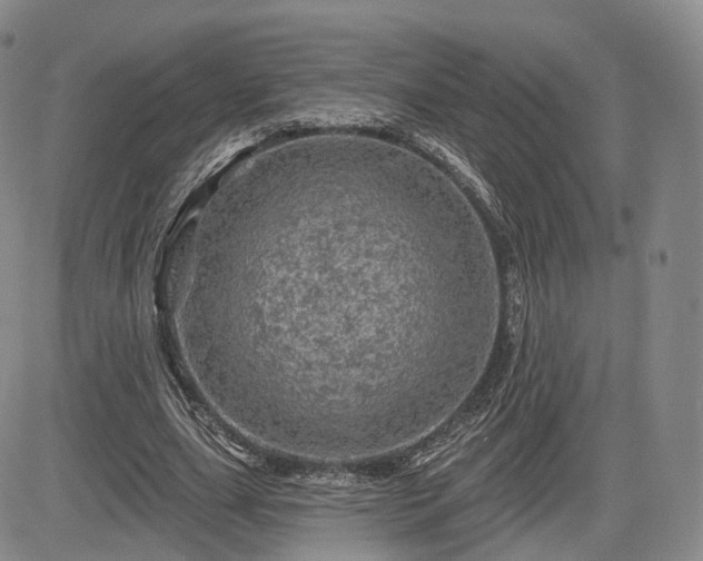 X0000084560631200703021424