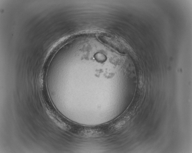 X0000084560632200703021424