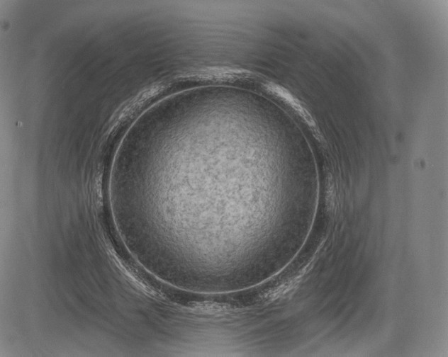 X0000084560633200703021424