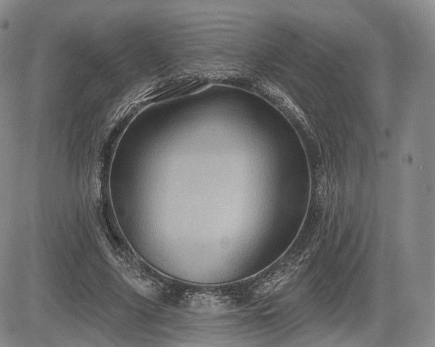 X0000084560635200703021424