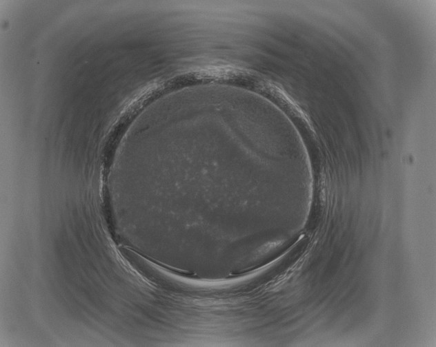 X0000084560637200703021424