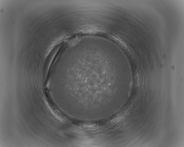 X0000084560638200703021424