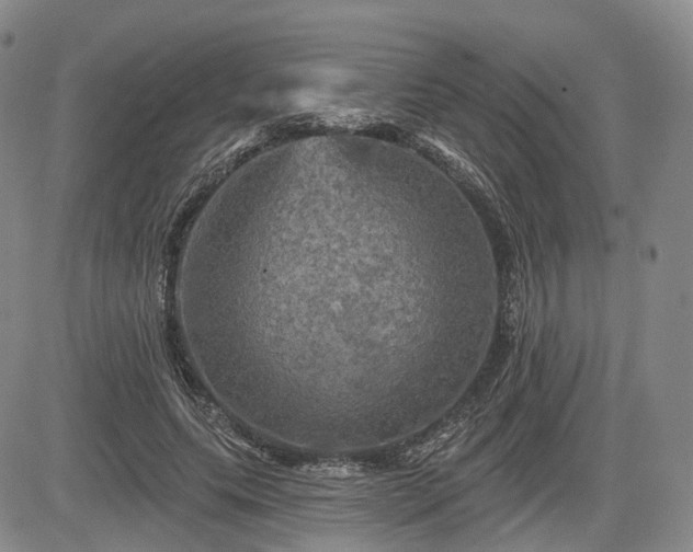 X0000084560639200703021424