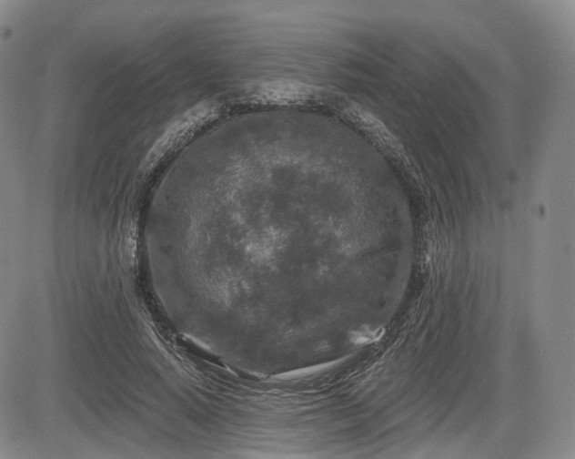 X0000084560640200703021424