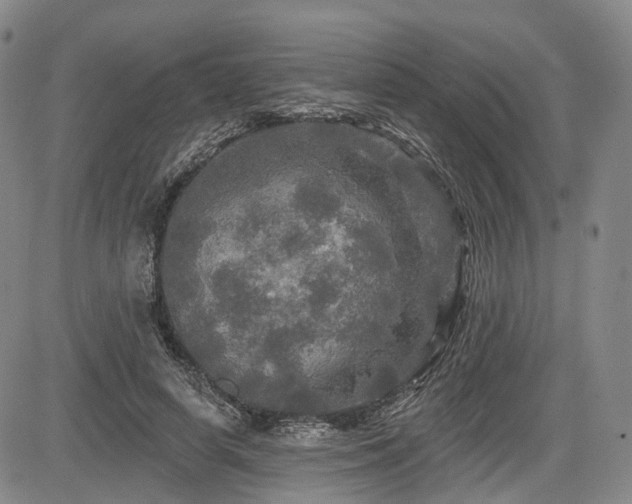 X0000084560642200703021424