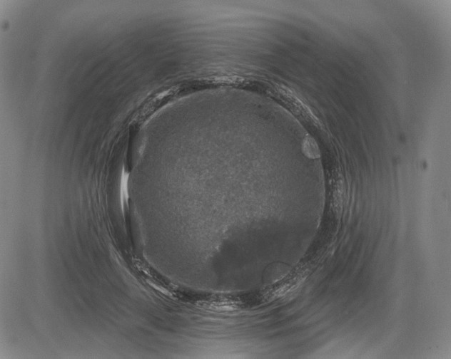 X0000084560643200703021424