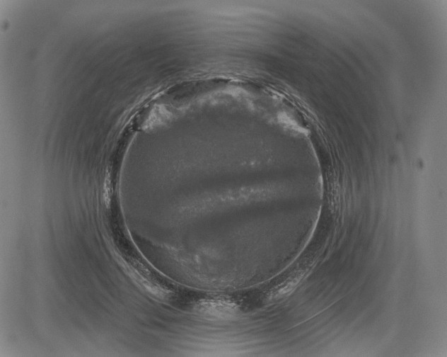 X0000084560644200703021424