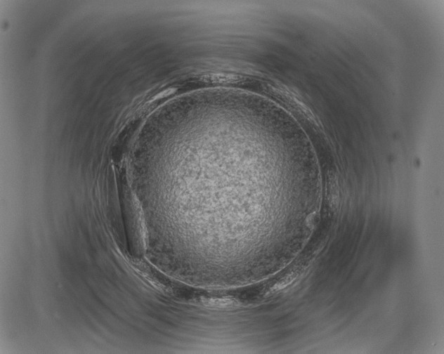 X0000084560645200703021424