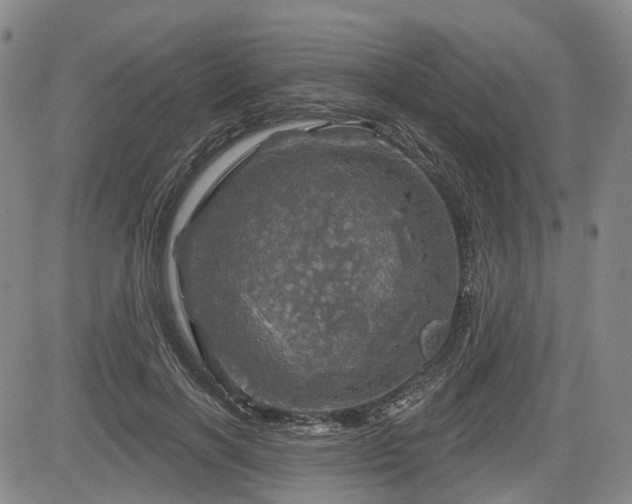 X0000084560646200703021424