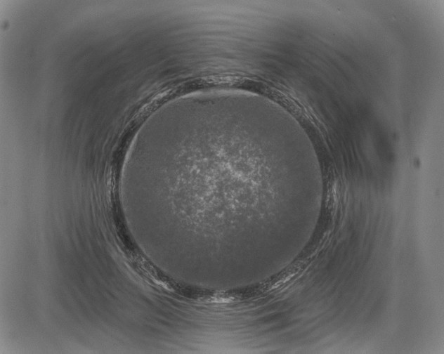 X0000084560647200703021424