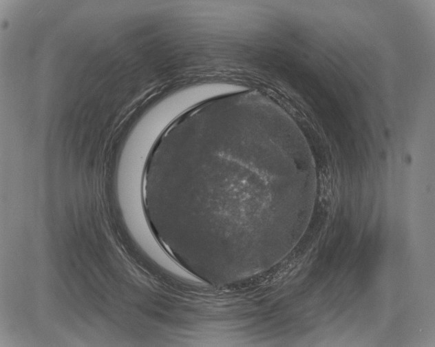 X0000084560648200703021424