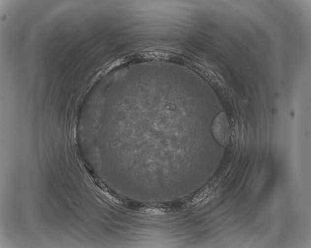 X0000084560649200703021424