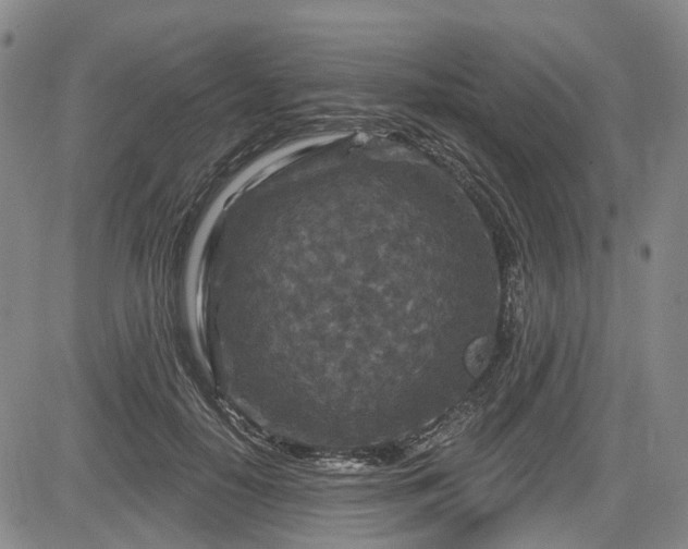 X0000084560650200703021424