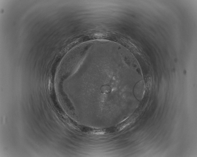 X0000084560651200703021424