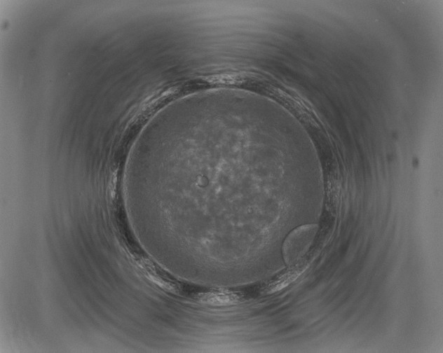 X0000084560652200703021425