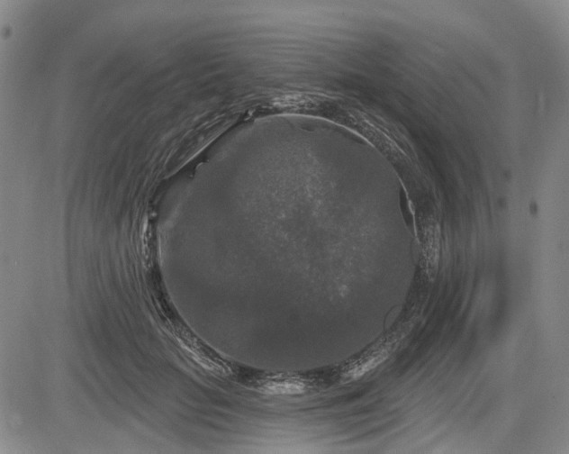 X0000084560653200703021425