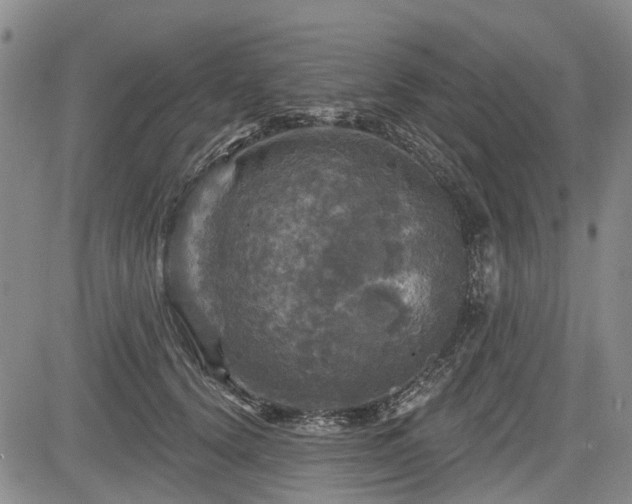 X0000084560656200703021425