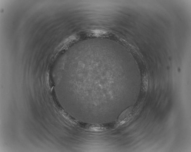 X0000084560657200703021425