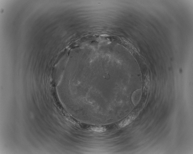 X0000084560659200703021425