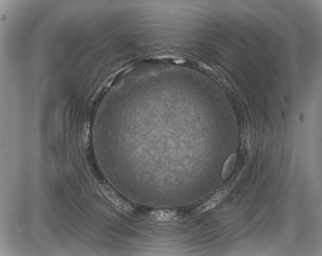 X0000084560660200703021425