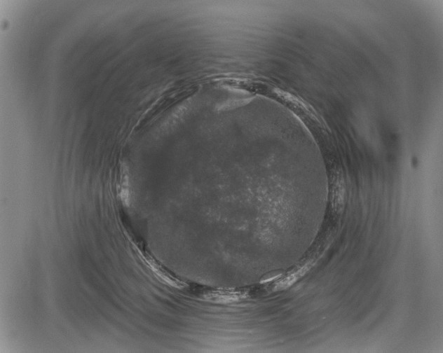 X0000084560661200703021425