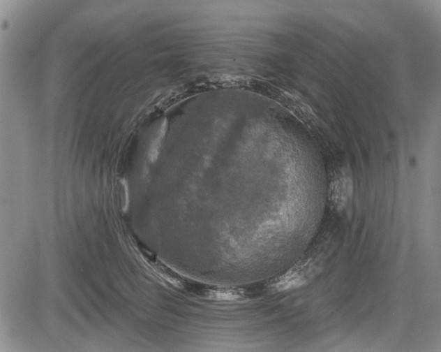 X0000084560662200703021425