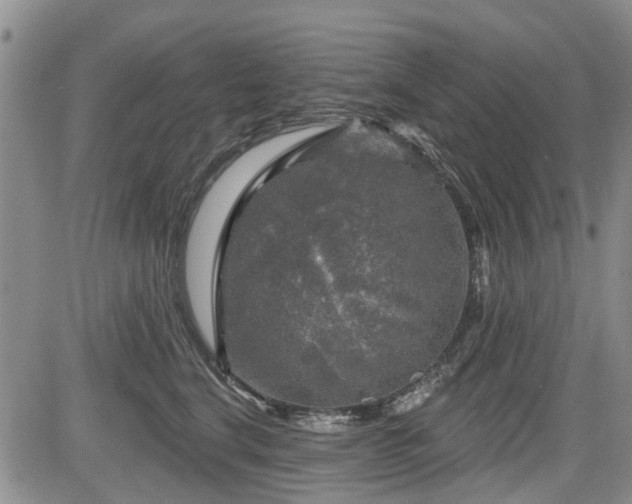 X0000084560664200703021425