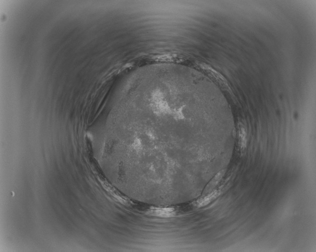 X0000084560665200703021425