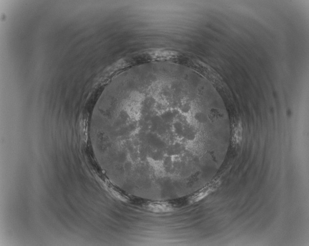 X0000084560666200703021425